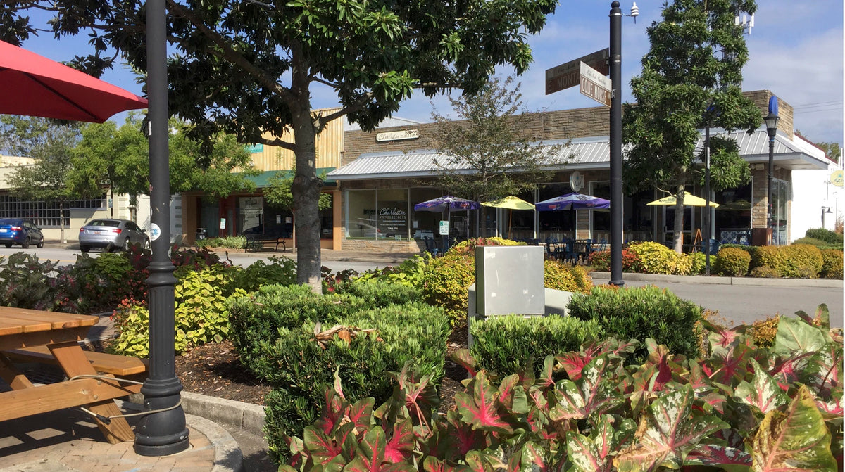 Charleston Mattress Store Exterior